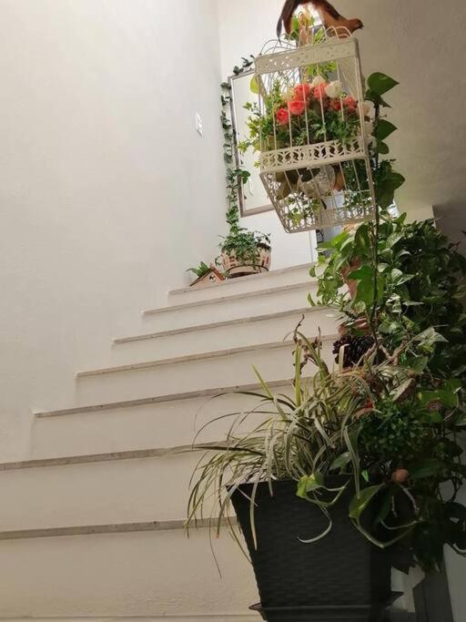 Casa Adhita, Tu Confort Es Nuestra Prioridad. Yautepec Exteriör bild